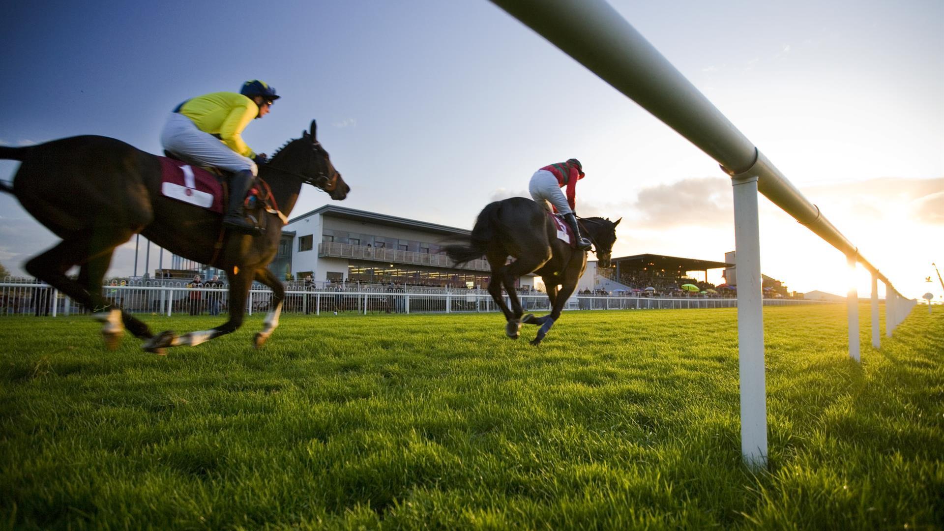 Image is of 2 horses and jockeys racing on the course