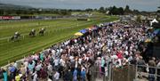 Image is of large audience of spectators watching the horse racing