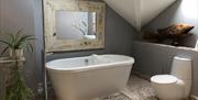 Image shows free standing bath with large mirror above it and toilet