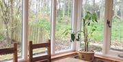 Image is of a dining room with tall windows looking out on to a woodland area.