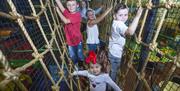 Image is of children climbing up ropes