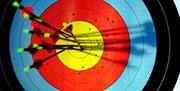 Image is of an archery board with darts
