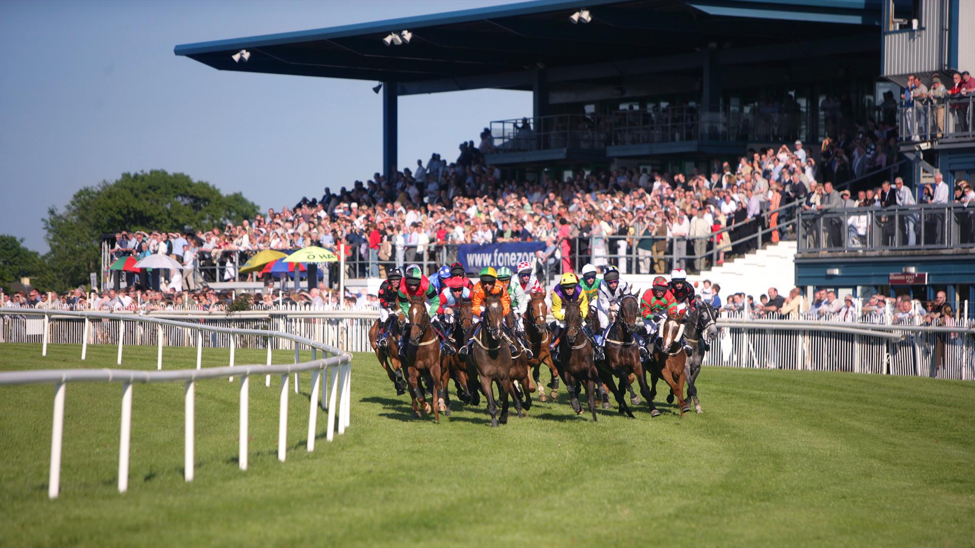 Horses racing at Down Royal Race Course