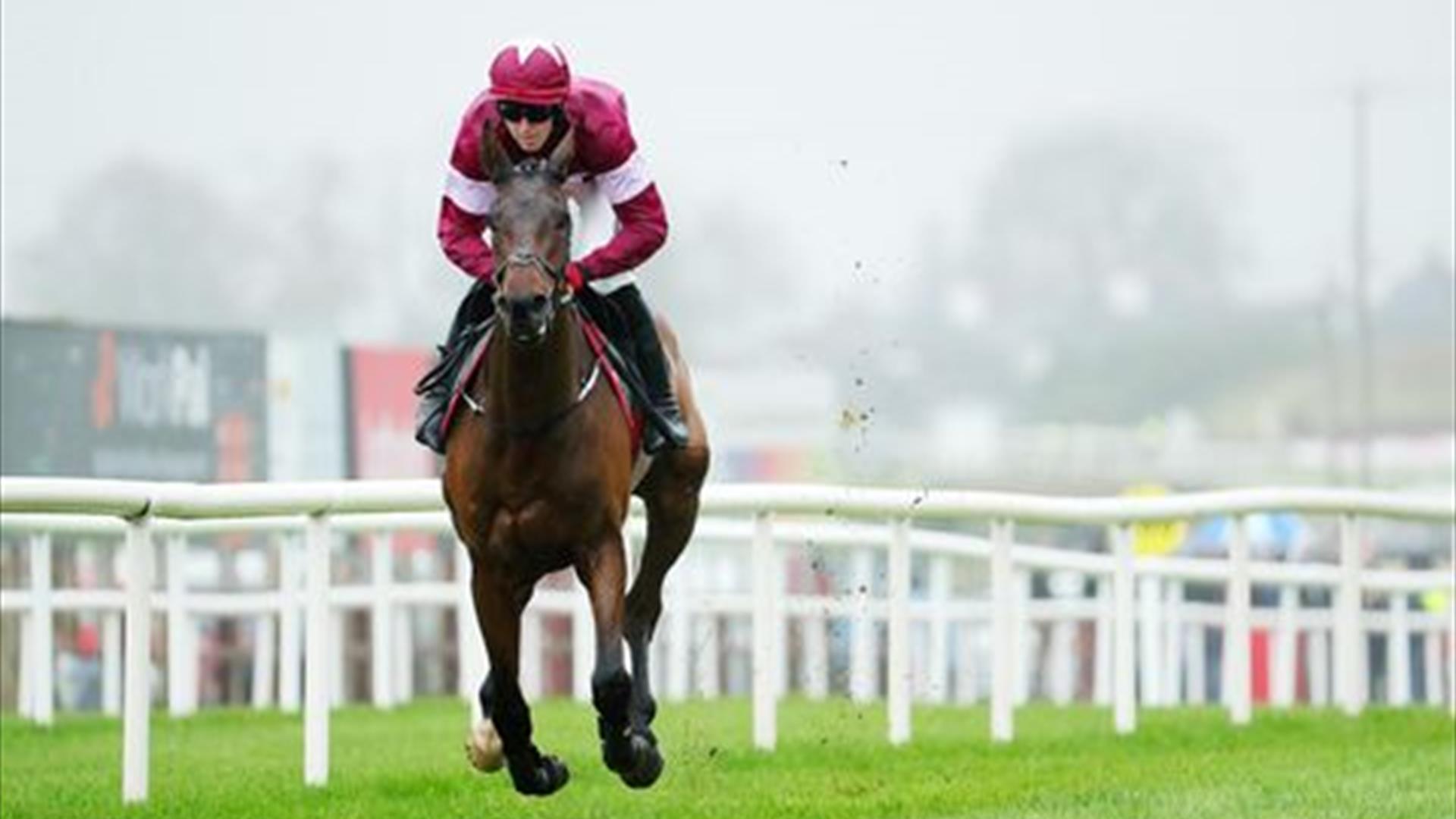 Image shows horse and jockey on race course at Down Royal