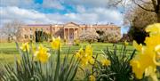 An image of Hillsborough Castle with daffodils in the garden