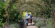 Image shows a couple walking through an archway of trees on Larchfield Estate
