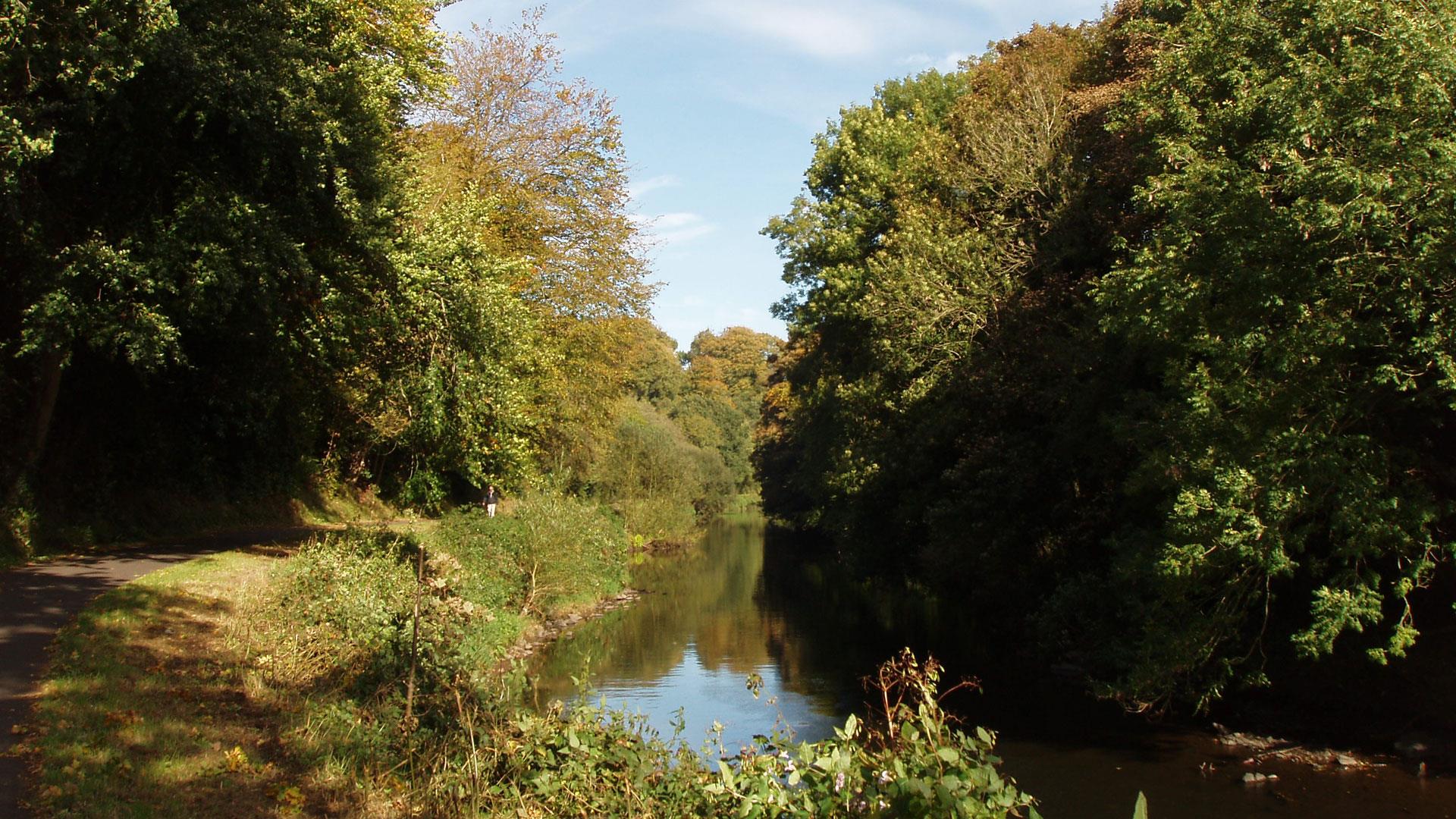 Image is of river and trees in the park