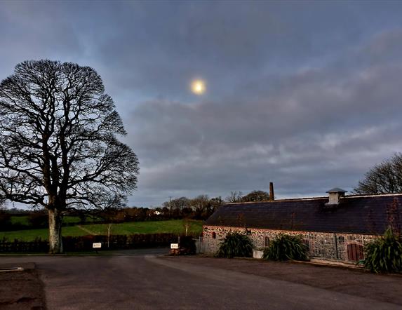 Image shows the stone building of Mill farm on the right hand side with a large tree to the left and overlooked by moonlight