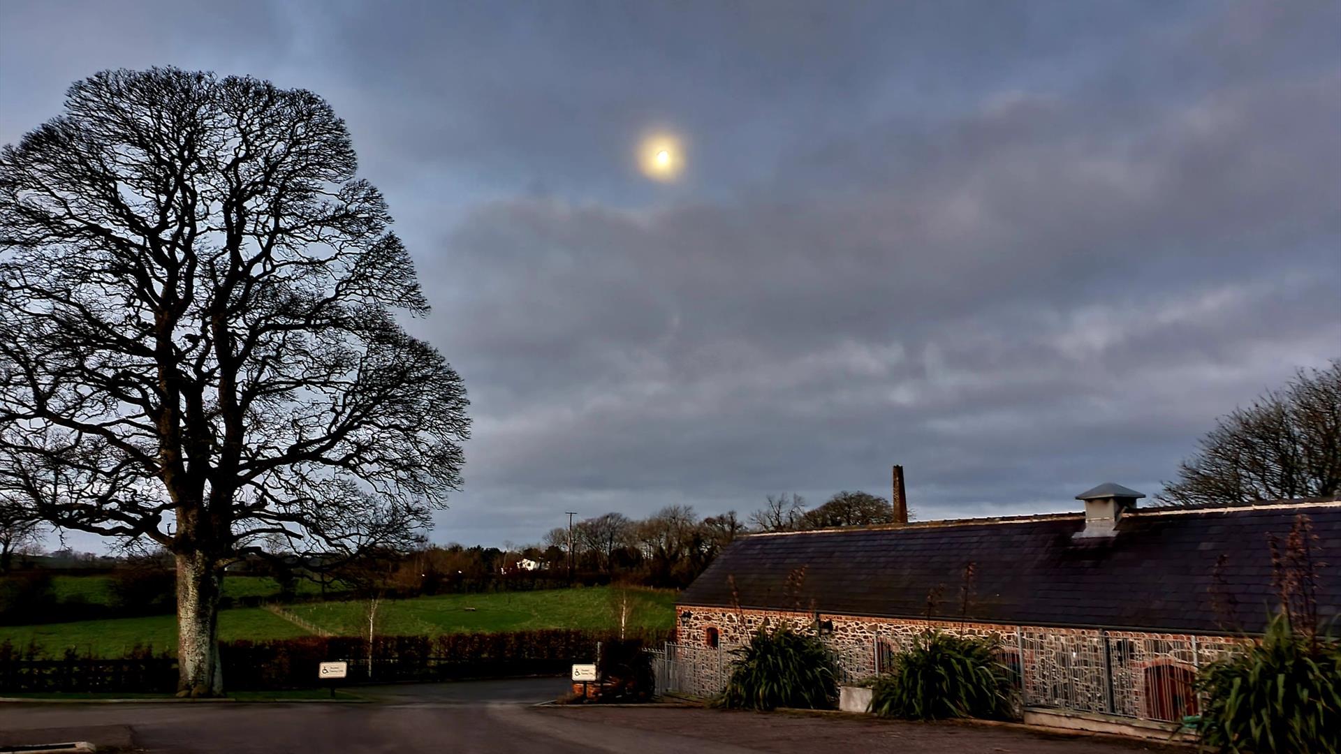 Image shows the stone building of Mill farm on the right hand side with a large tree to the left and overlooked by moonlight