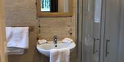 Image shows bathroom with walk in shower, wash basin with mirror above and toilet