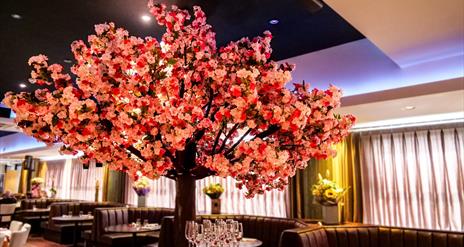 Image shows booths in restaurant with cherry blossom tree