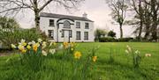 Image is of The Ballance House with daffodils in bloom