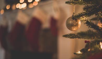 An image of a Christmas Tree with gold bauble