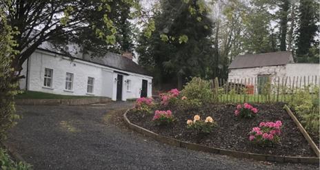 Image is of front of white washed cottage with gravel drive and area planted with rose bushes with lots of trees around the cottage