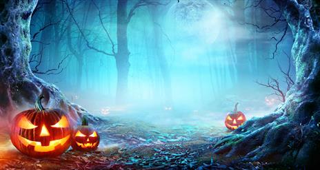 Ballyburren Halloween Spook & Pumpkin Pick Event