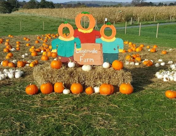 Laganvale Farm pumpkin patch at Halloween