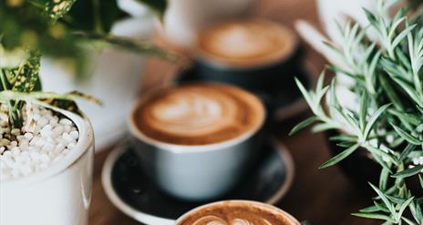 Image shows three latte coffee cups sitting on table among plants